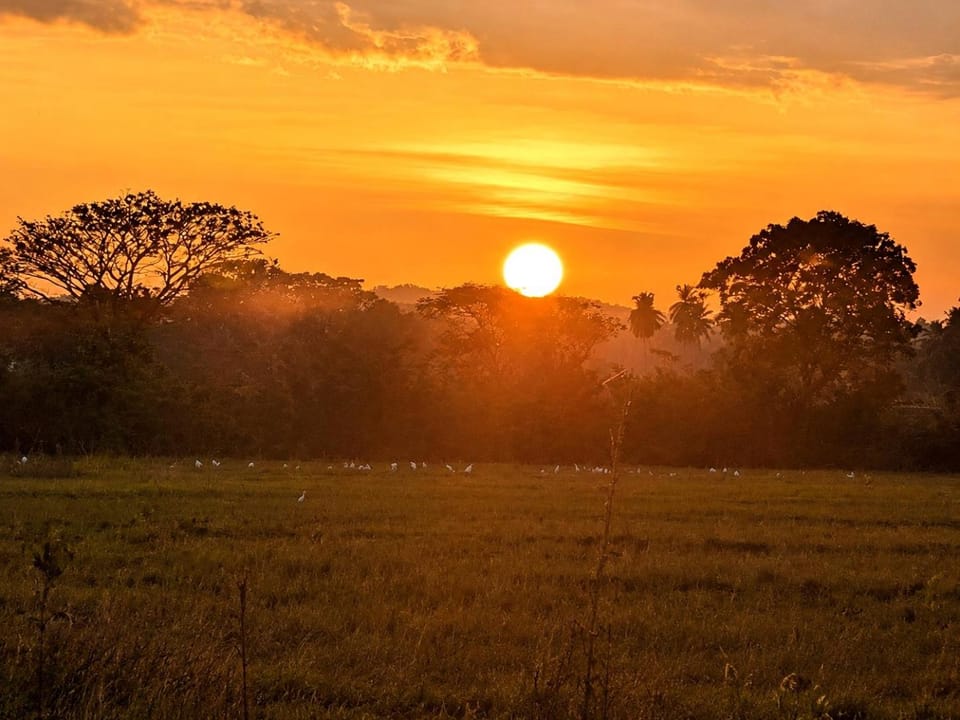 Sunrise