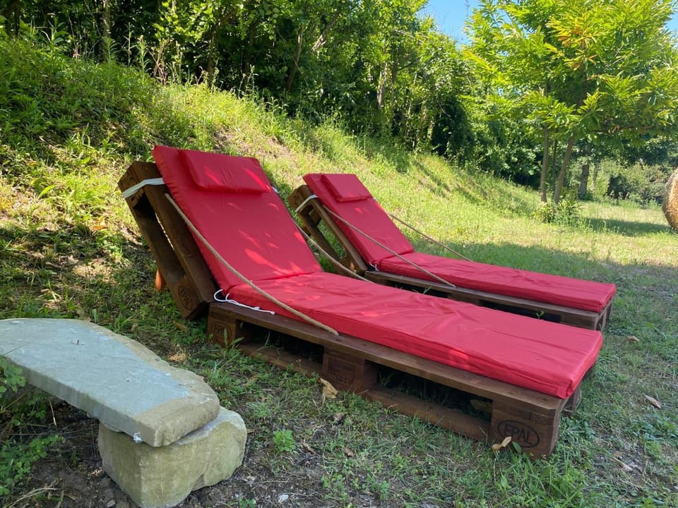 Garden, sunbed