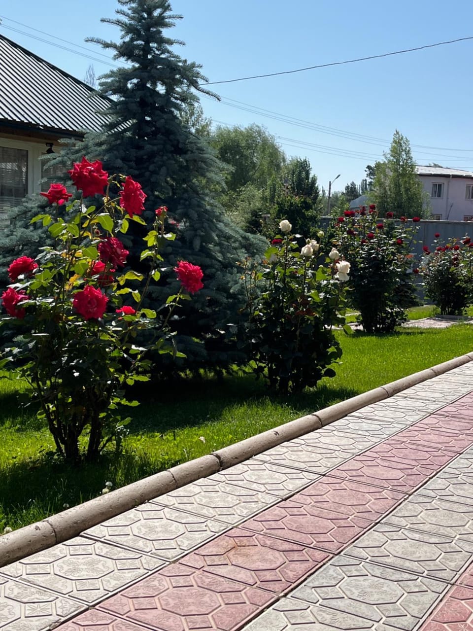Жемчужина Иссык-Куля Bed and Breakfast in Almaty Region, Kazakhstan