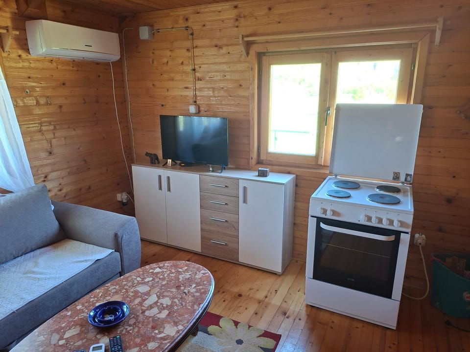 TV and multimedia, Kitchen or kitchenette, Living room, oven, stove