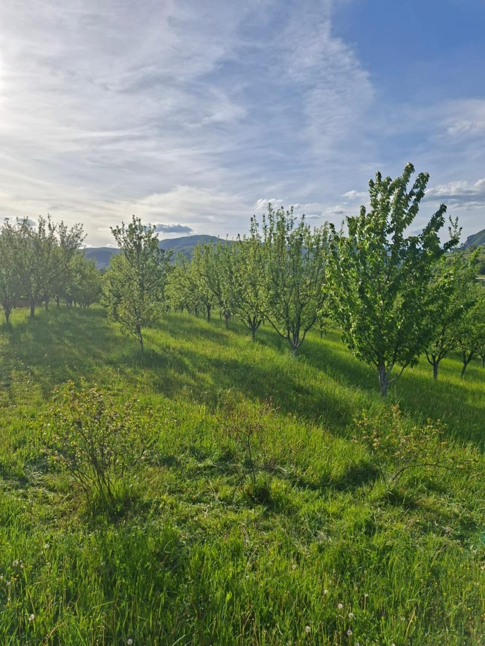 Spring, Day, Natural landscape, Mountain view