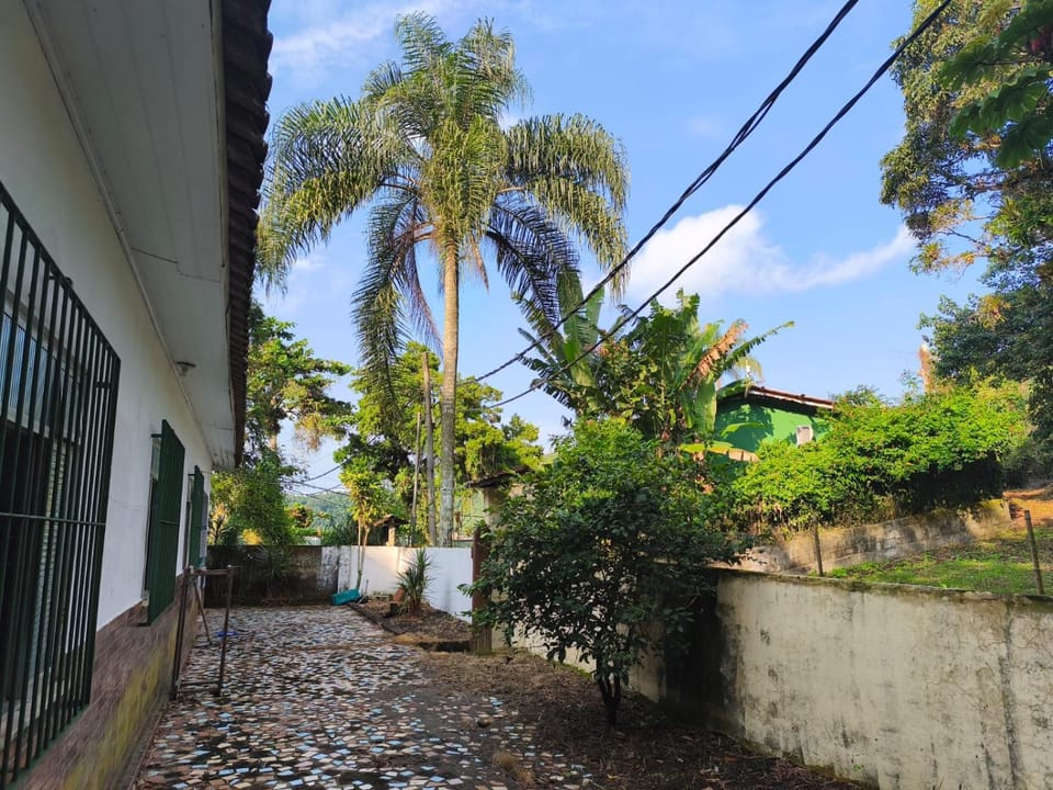 Day, Garden, Garden view