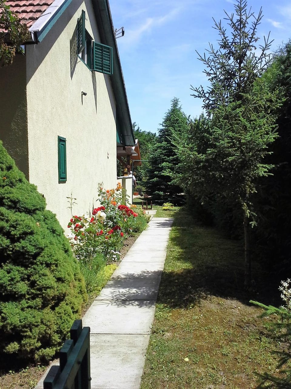 Garden view