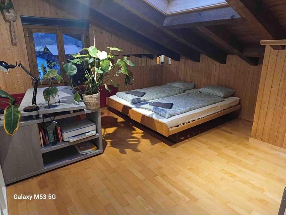 Spacious, Central 4 Bedroom Apt - 1 min from Train Apartment in Interlaken