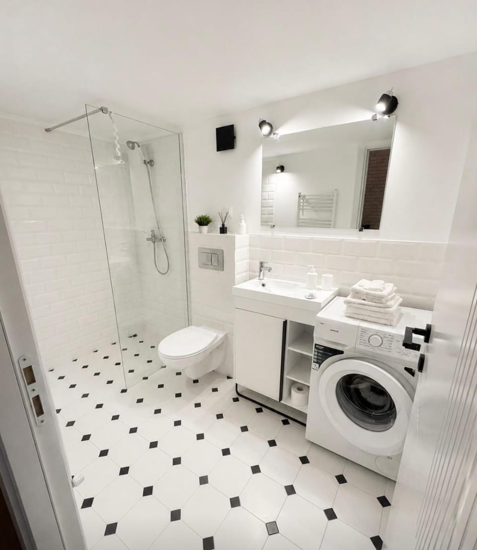 Alfa Loft Apartment in Cluj-Napoca