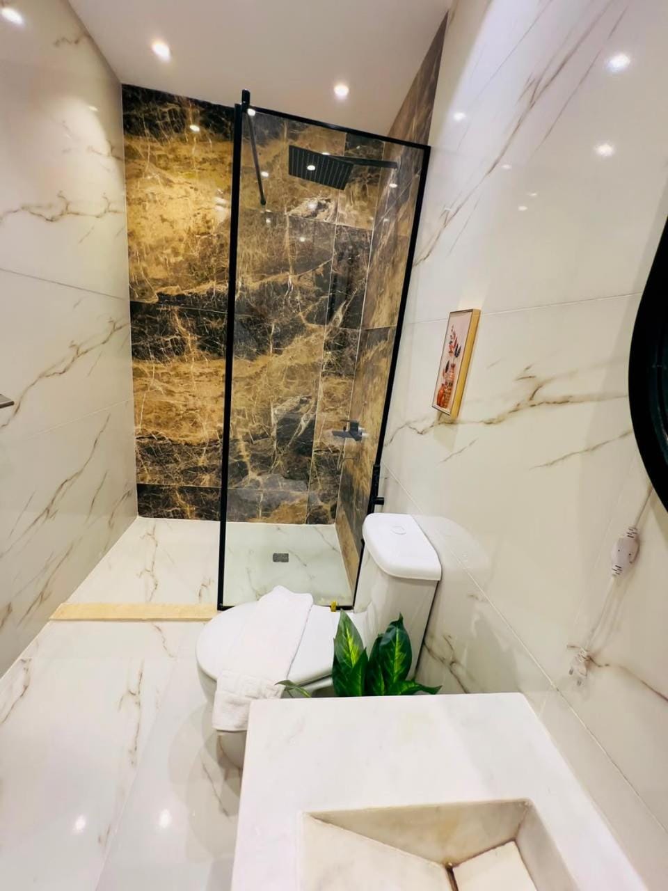 Shower, Toilet, Bathroom