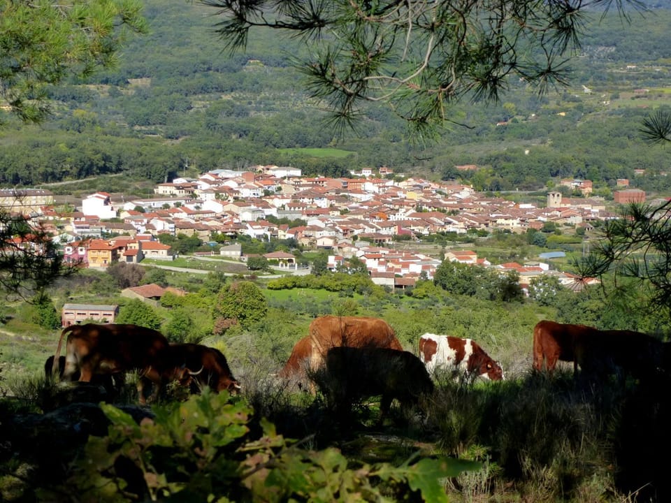 Neighbourhood