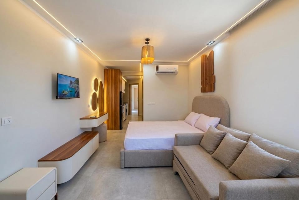 TV and multimedia, air conditioner
