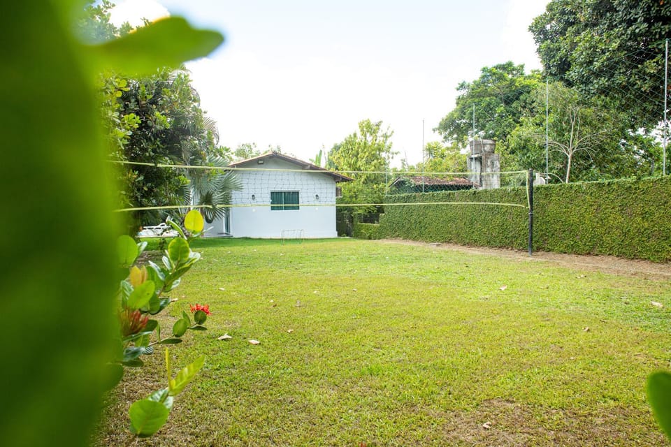 Day, Natural landscape, Garden, Garden view