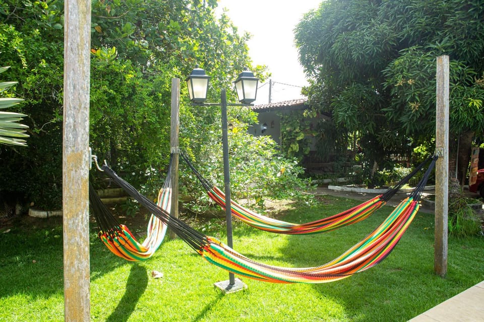 Day, Natural landscape, Garden, Garden view, sunbed