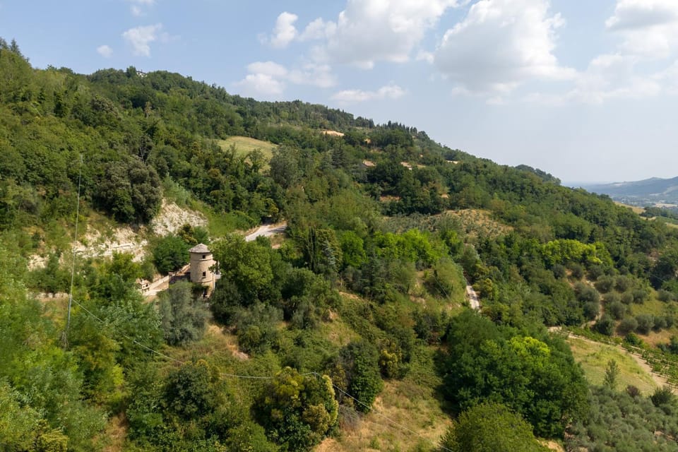 Bird's eye view, View (from property/room), Garden view