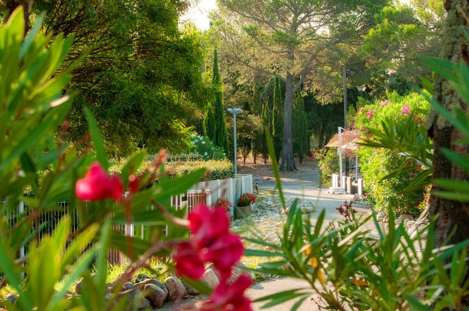 Garden, View (from property/room)