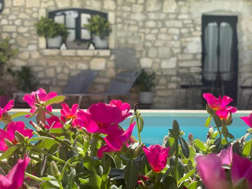 Garden, Garden, Balcony/Terrace