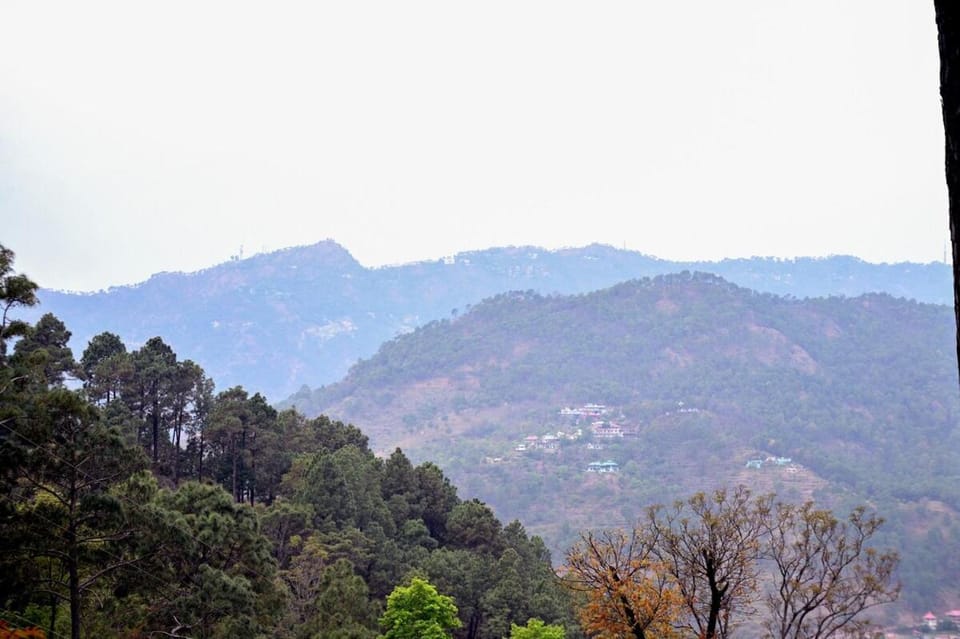 Emerald View Hillside TWO BHK Apartment Apartment in Himachal Pradesh