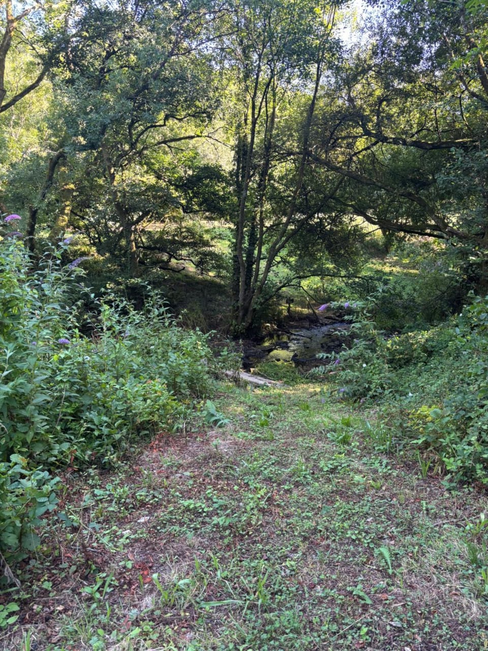 Buttercombe Meadow Campsite and Venue Campground/ 
RV Resort in North Devon District