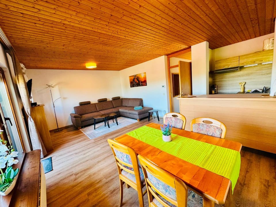 Kitchen or kitchenette, Living room, Seating area, Dining area