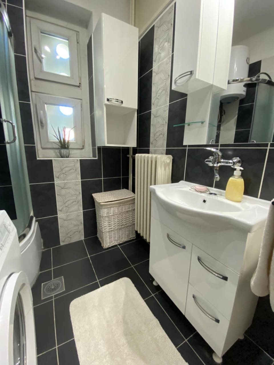Sunny Danube Studio Apartment in Novi Sad