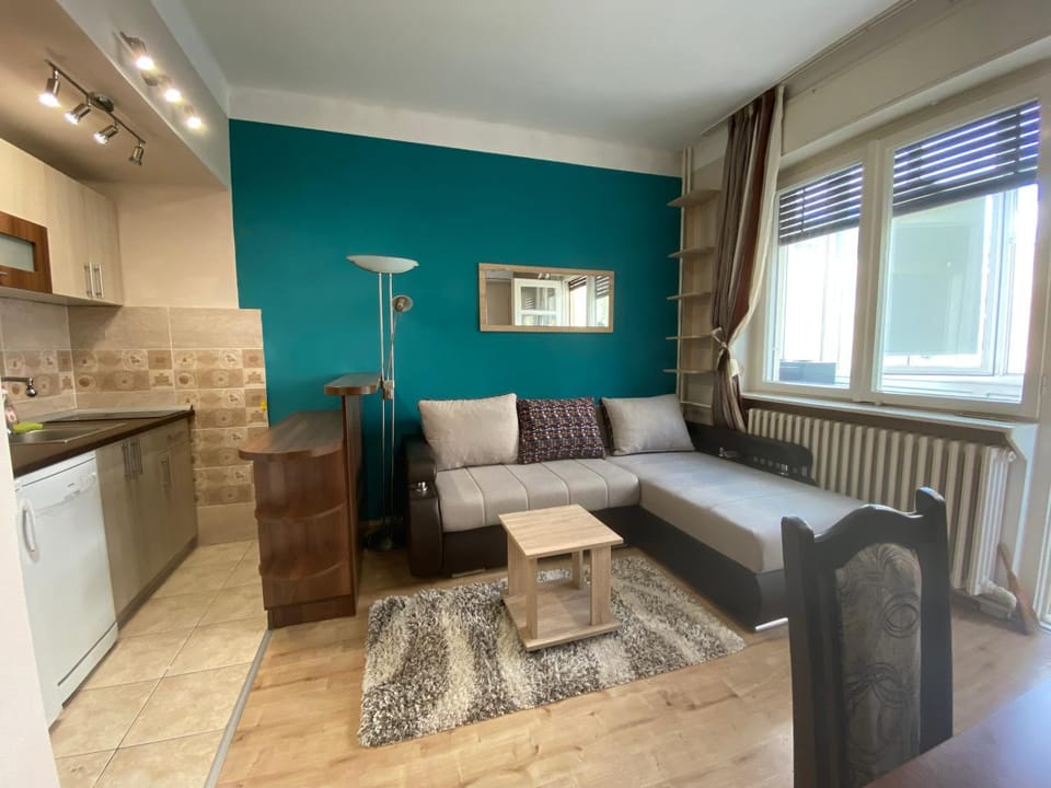 Sunny Danube Studio Apartment in Novi Sad