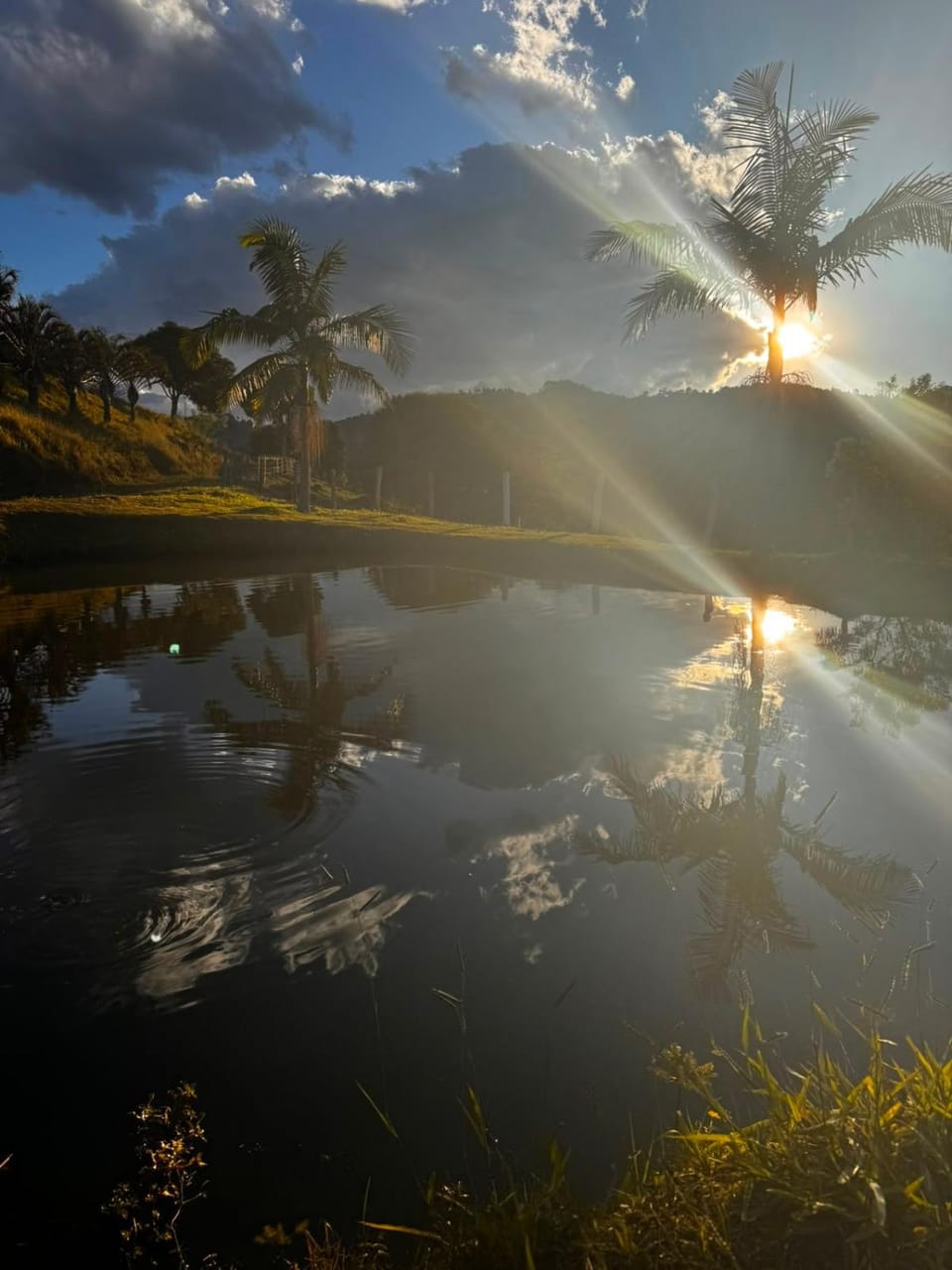 Fishing