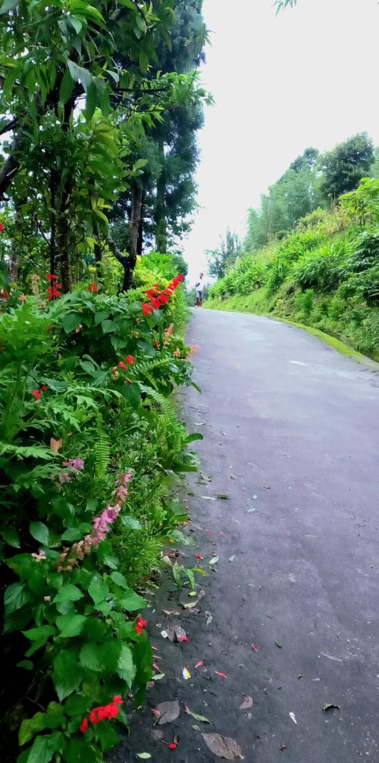 Purbasha Hillstay, Dukavally waterfalls, Tendrabong House in West Bengal