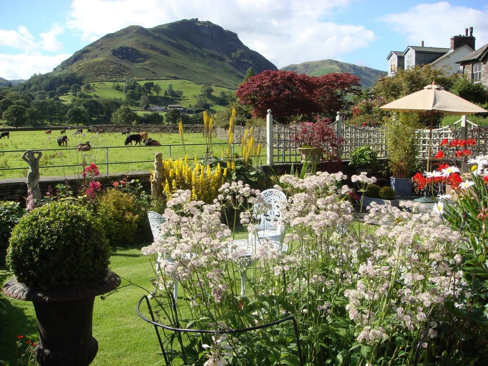 Day, Garden, Mountain view