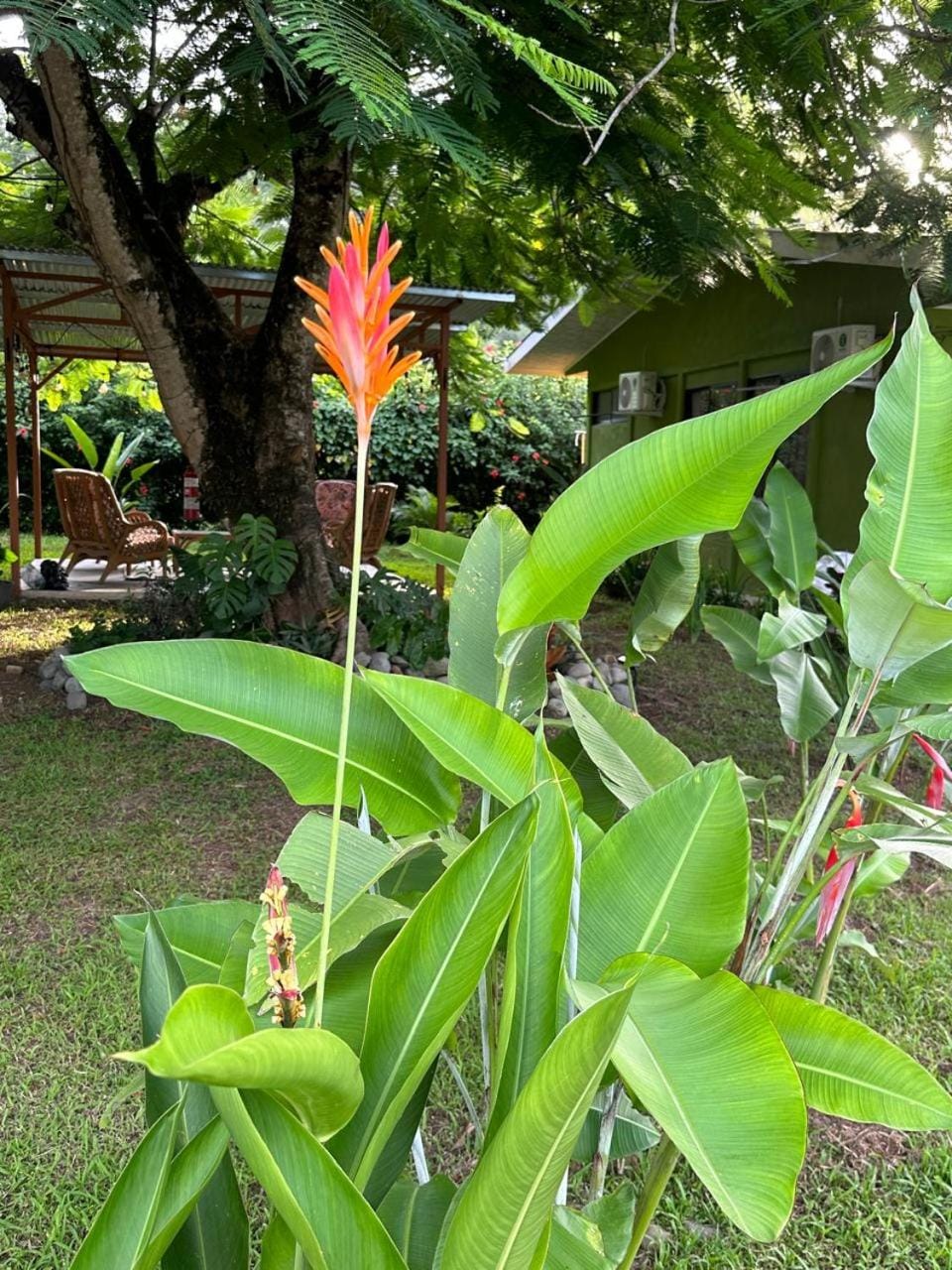 Garden, Garden view