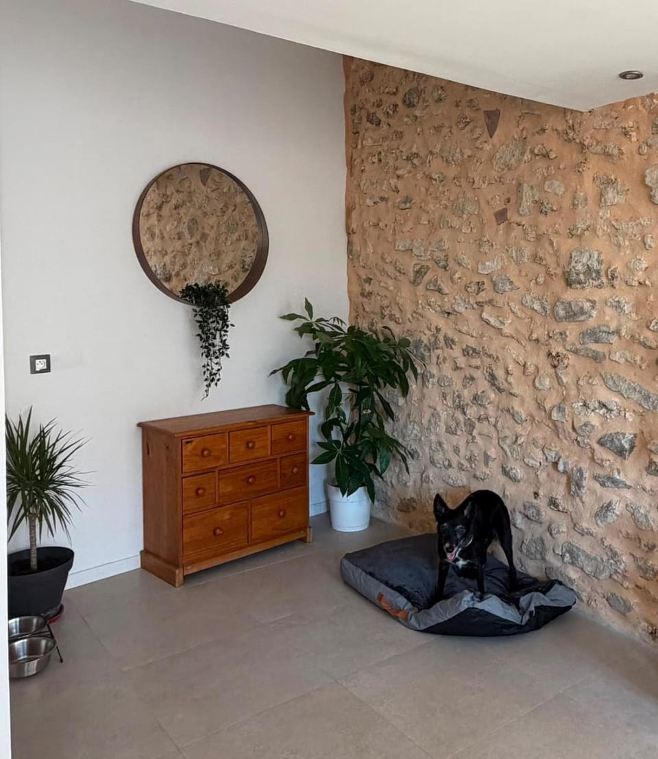 Private rooftop historic center Grasse Apartment in Grasse