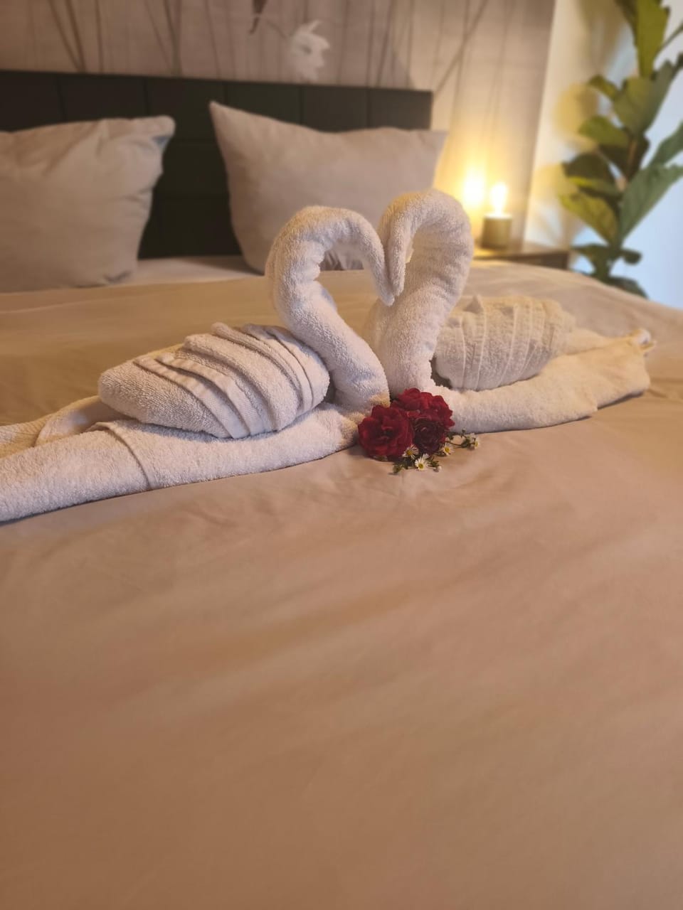 Bed, towels