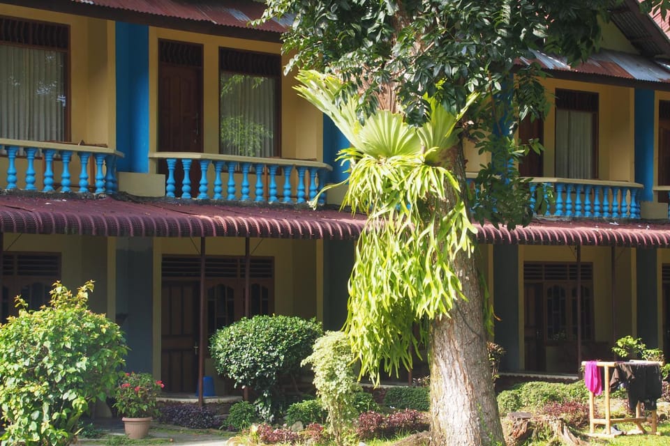 Property building, Garden, Balcony/Terrace