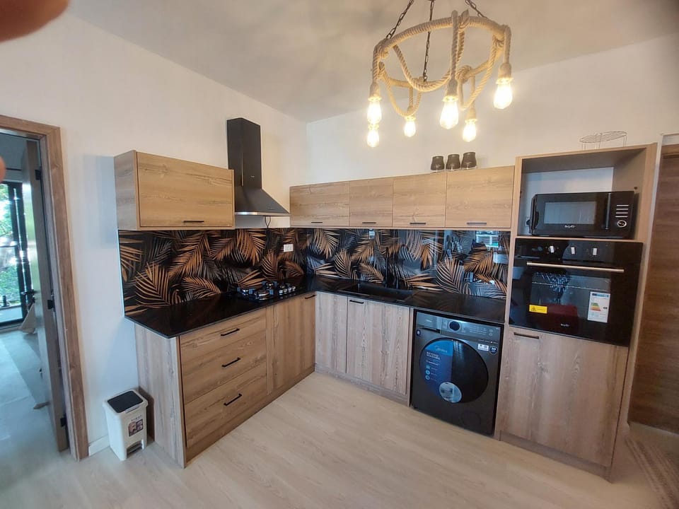 Kitchen or kitchenette, oven, stove