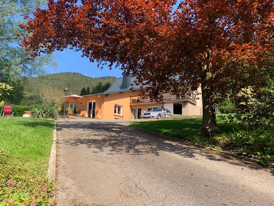 Property building, Spring, Mountain view