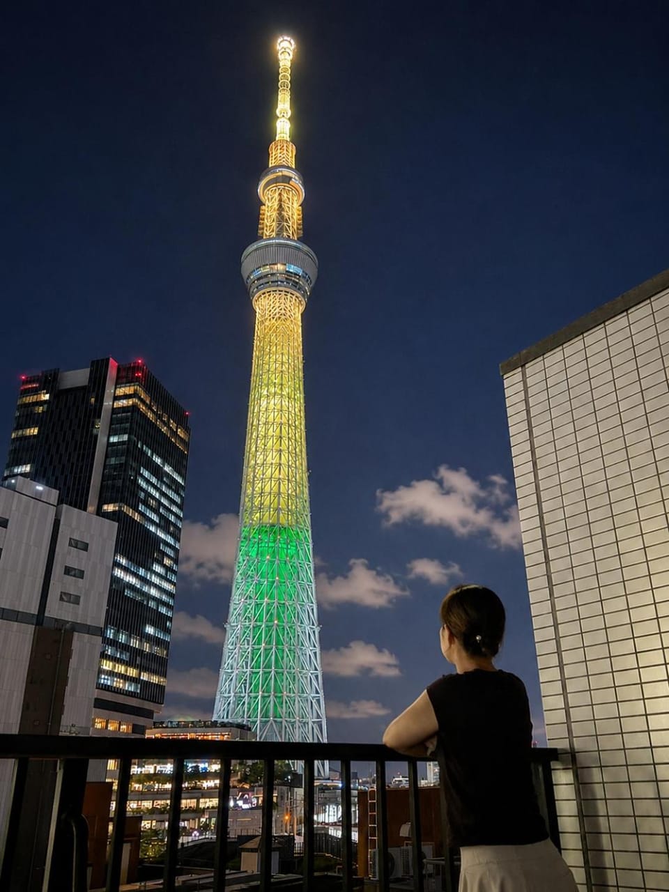 晴レ屋 押上 Hareya Oshiage Apartment in Japan