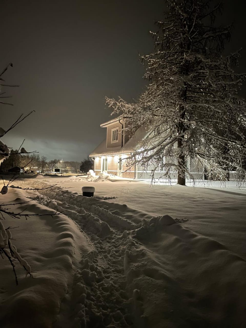 Property building, Natural landscape, Winter