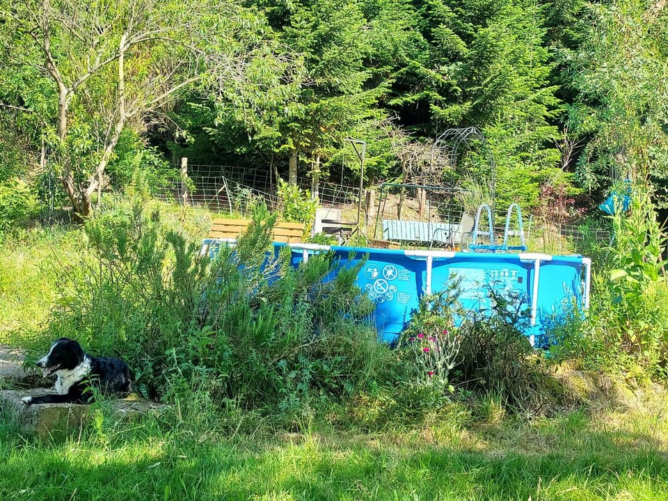 Property building, Living room, Swimming pool