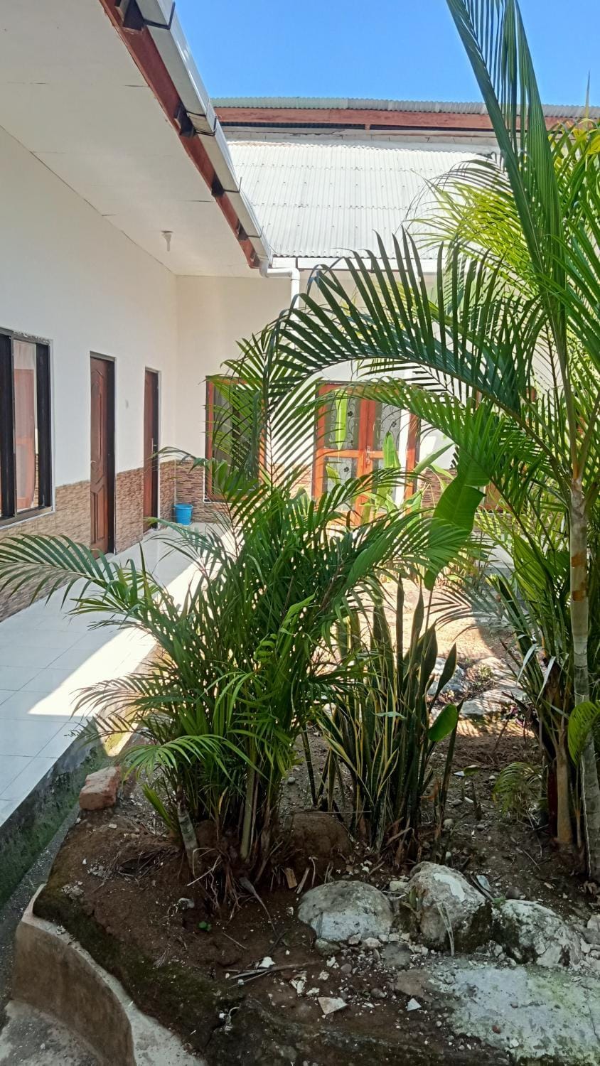 Property building, Garden view