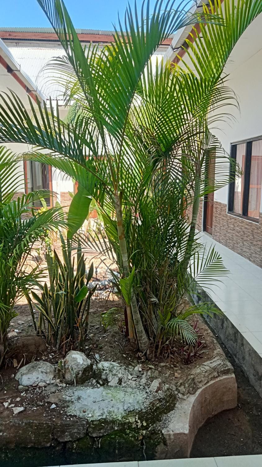 Garden view