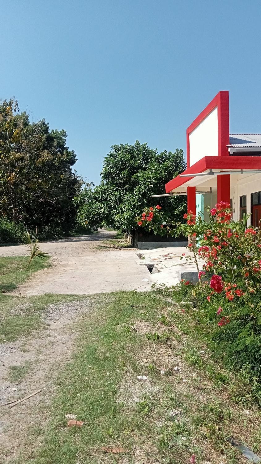 Property building, Garden view
