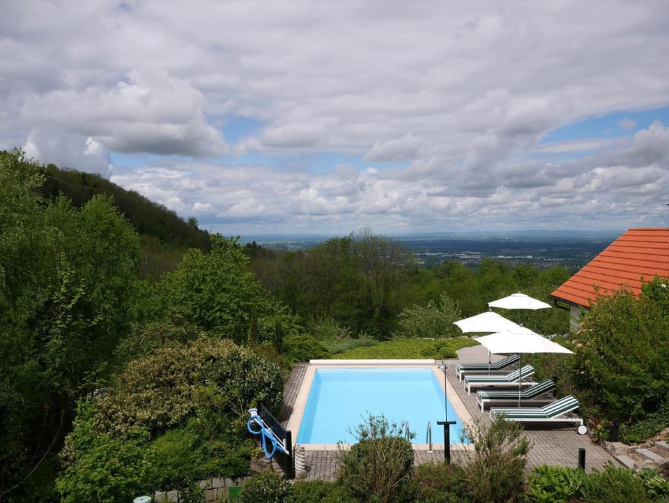 Property building, Living room, Swimming pool