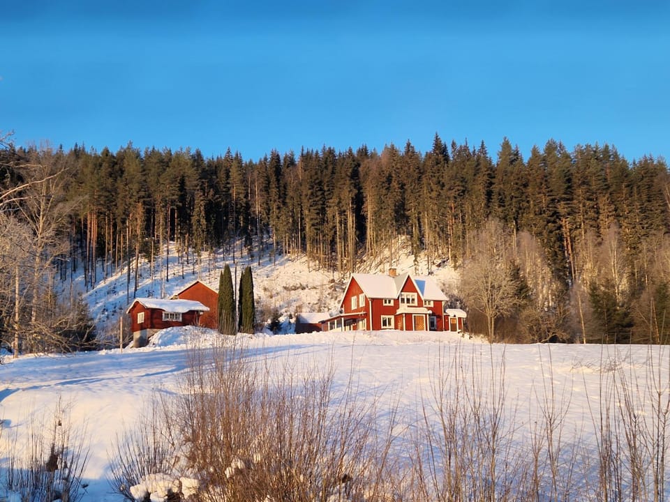 Property building, Natural landscape, Winter
