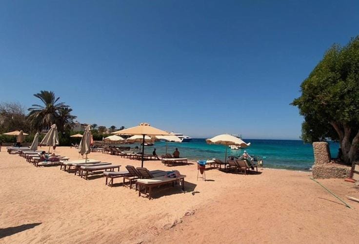 1Bedroom apartment Aquafun Apartment in Hurghada