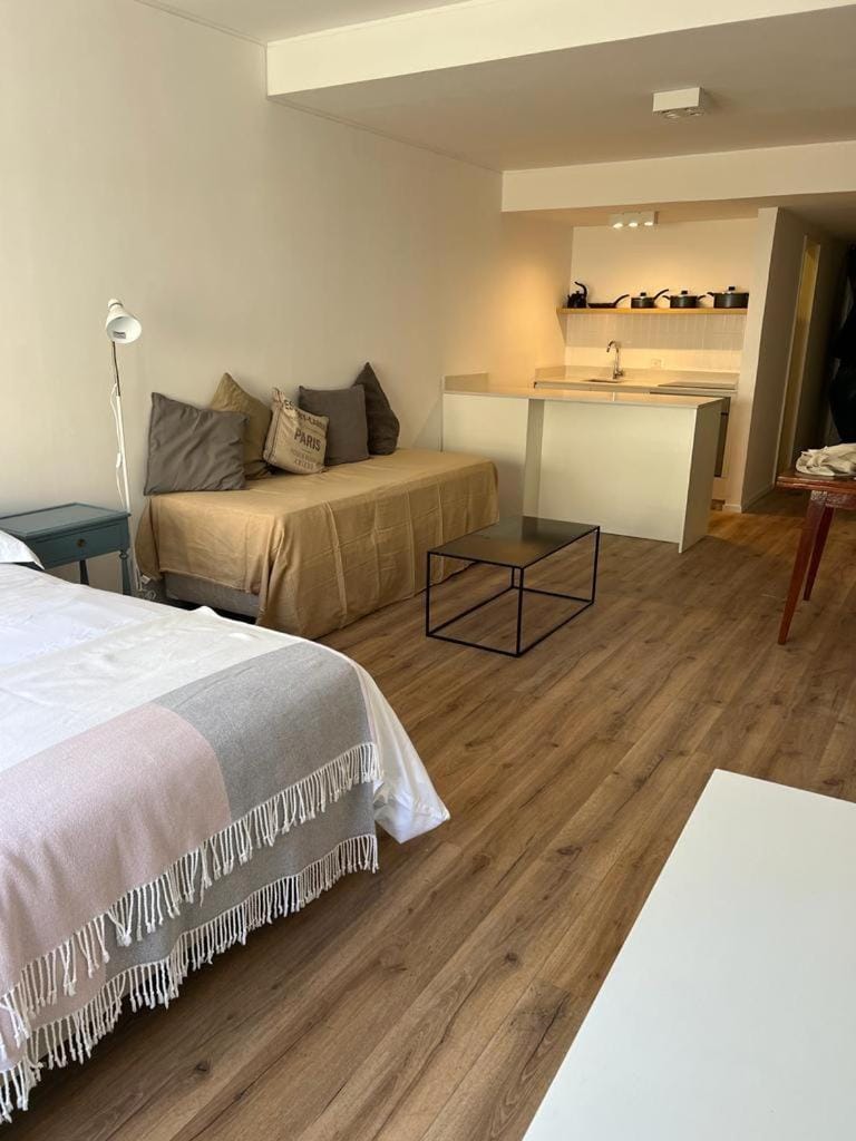 Spectacular Brand New Studio in Galerias Pacifico Apartment in Buenos Aires