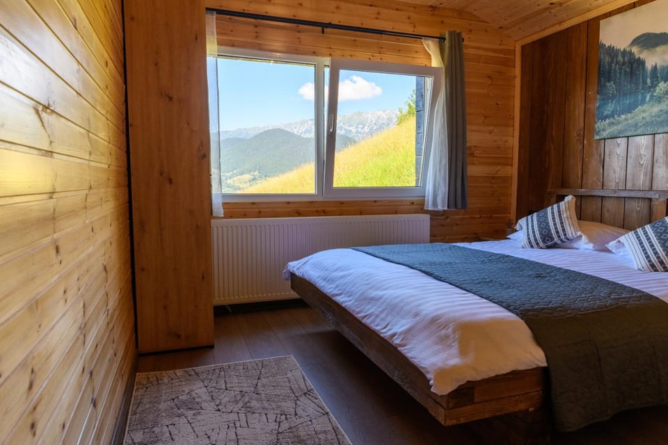 Photo of the whole room, Bedroom, Mountain view