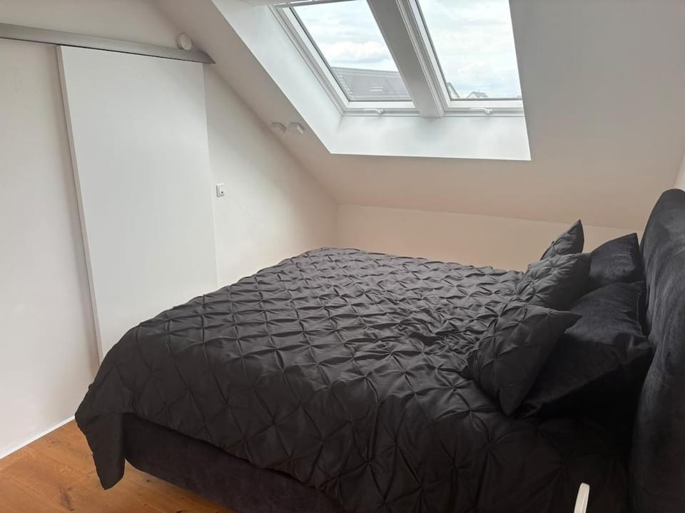 Modernes und geräumiges Wohlfühlloft Apartment in Lower Saxony, Germany