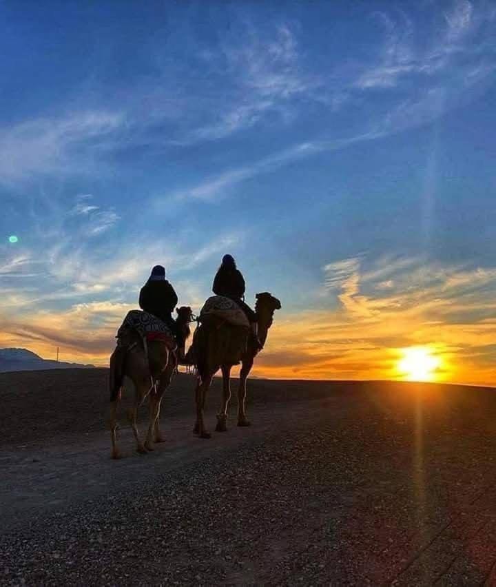 Horse-riding, Animals, Sunset