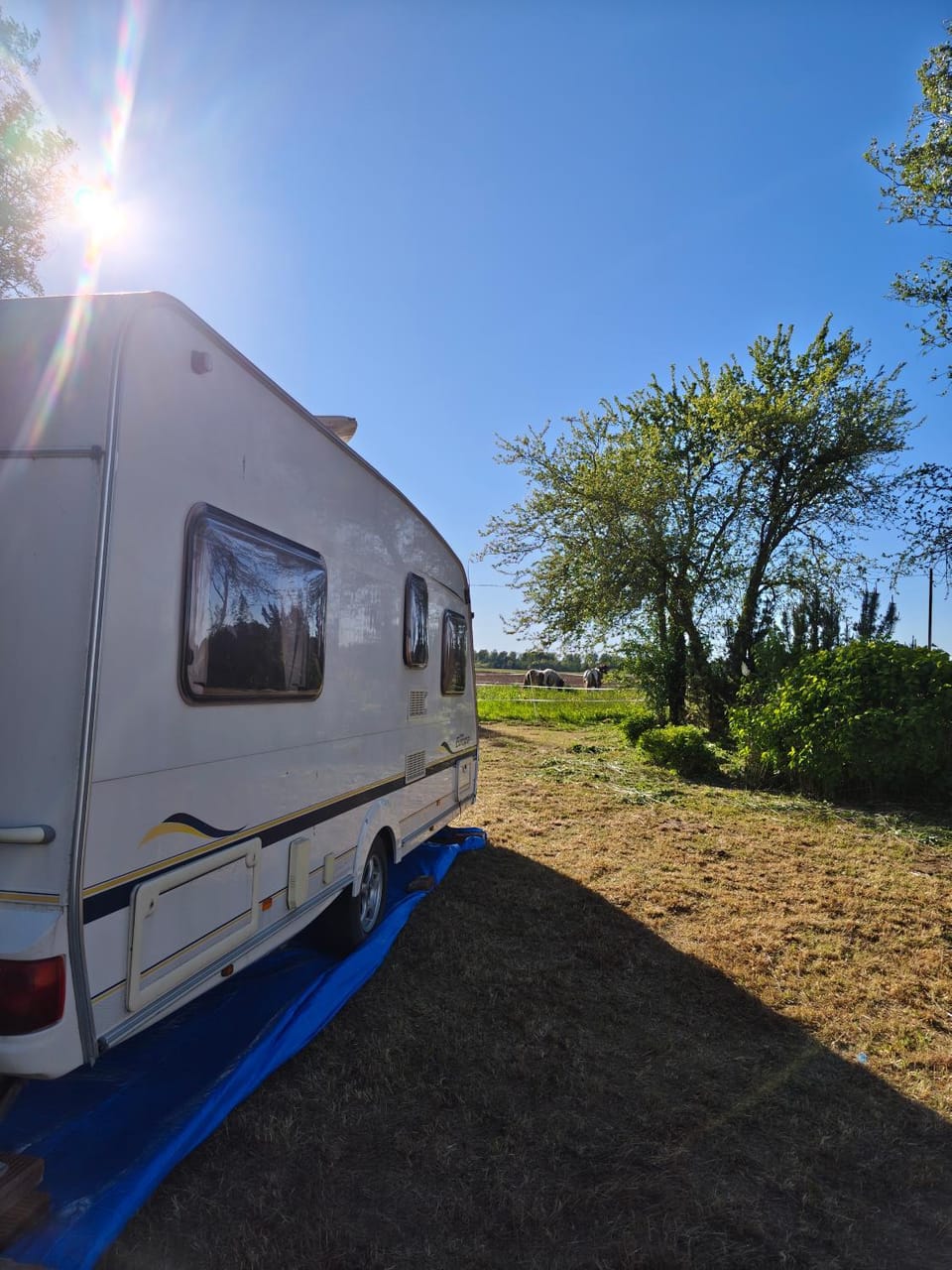 Countryside Glamping by Horse Meadows & Sea only 4 km Nature lodge in Latvia