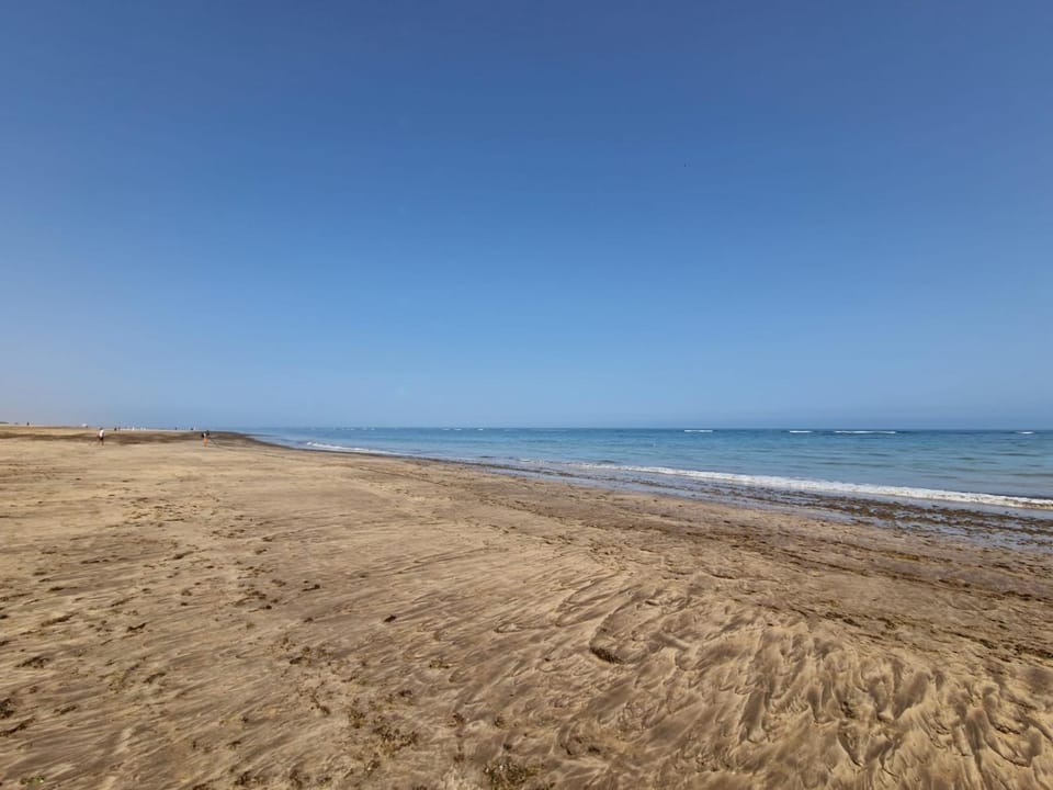 Natural landscape, Fishing, Horse-riding, Beach, Sea view
