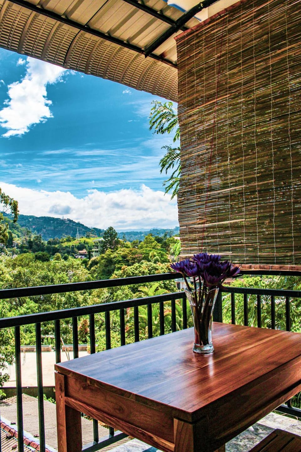 Natural landscape, Balcony/Terrace, Dining area