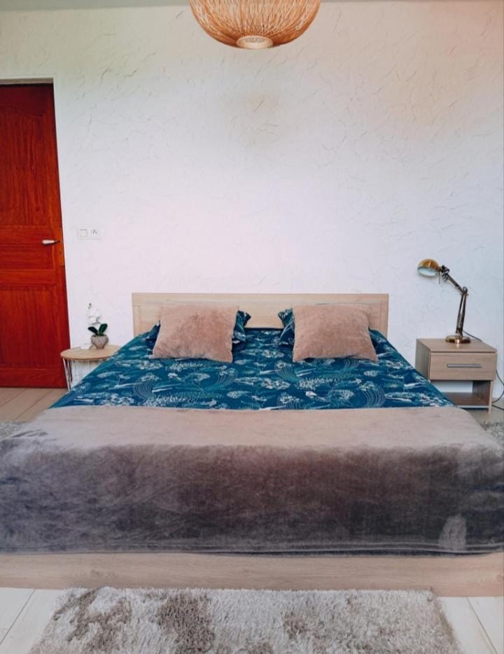 Un nid chaleureux Apartment in Lyon