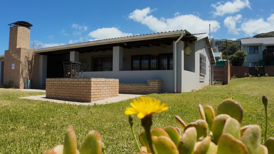 Property building, Garden view