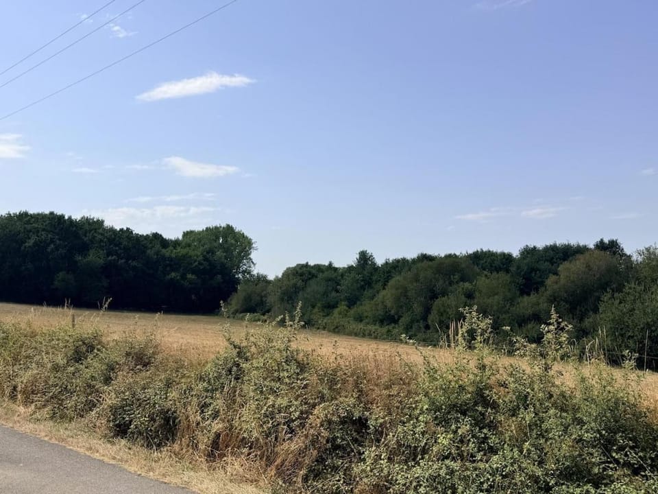 Natural landscape